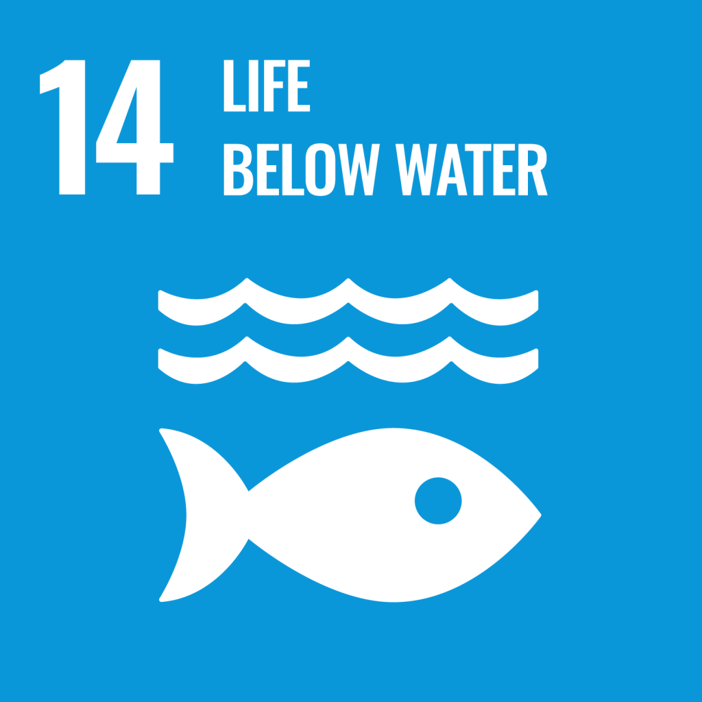 SDGs目標14：海の豊かさを守ろう